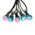 Festival G40 Colored Flower Painting String Light